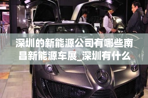 深圳的新能源公司有哪些南昌新能源车展_深圳有什么新能源汽车公司
