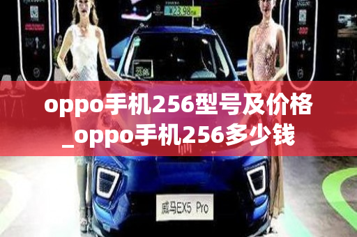 oppo手机256型号及价格_oppo手机256多少钱