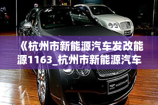 《杭州市新能源汽车发改能源1163_杭州市新能源汽车服务有限公司