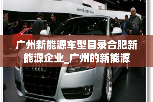 广州新能源车型目录合肥新能源企业_广州的新能源
