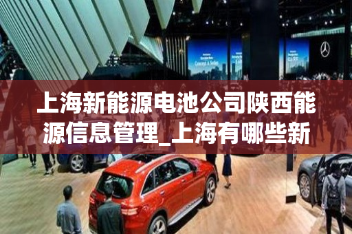 上海新能源电池公司陕西能源信息管理_上海有哪些新能源电池公司
